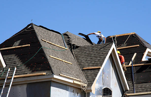 Best Roof Moss and Algae Removal  in Lock Haven, PA